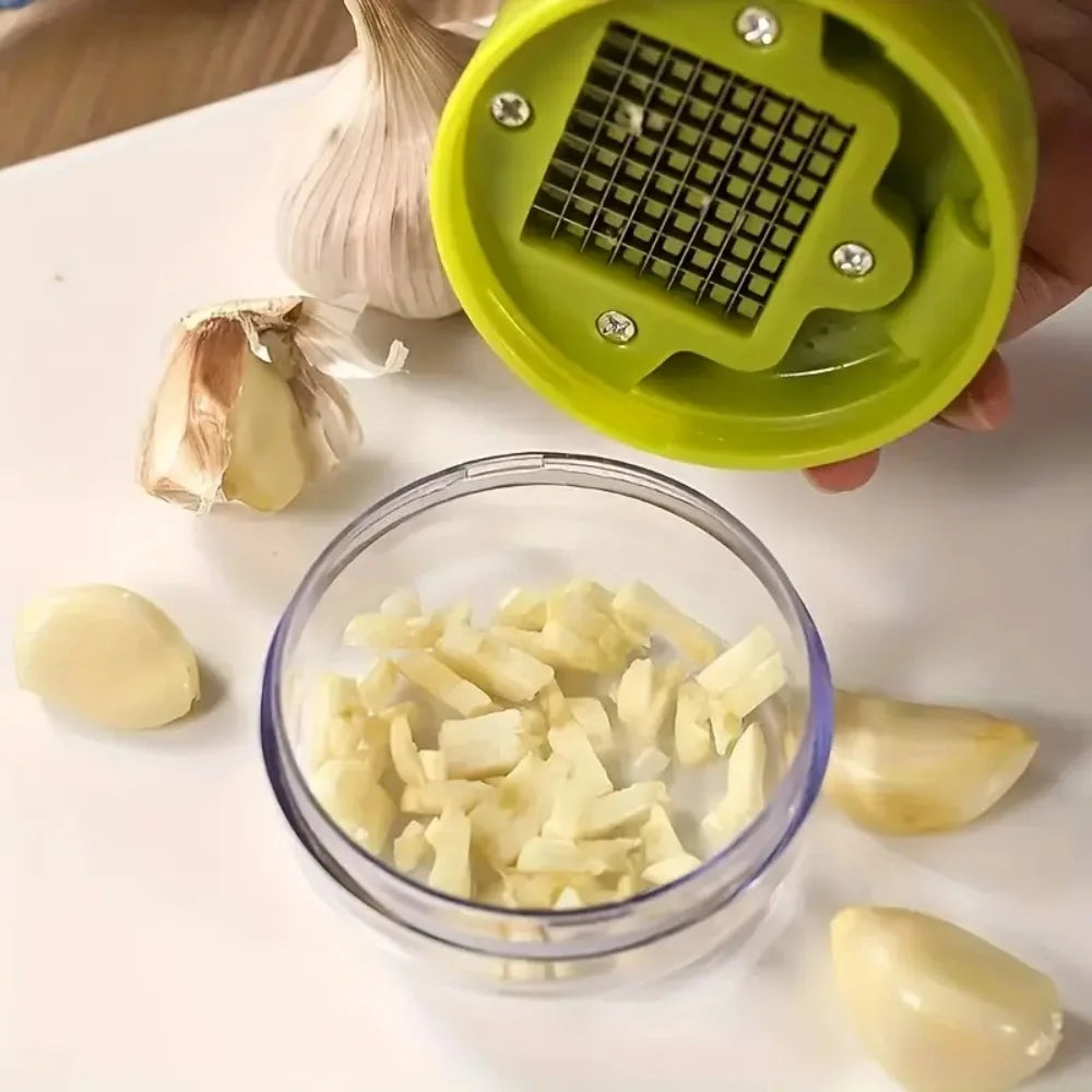 1pc Multifunctional Garlic Press Manual Mincer， ABS and Stainless Steel Garlic Slicer Handheld Ginger Masher with Storage Case