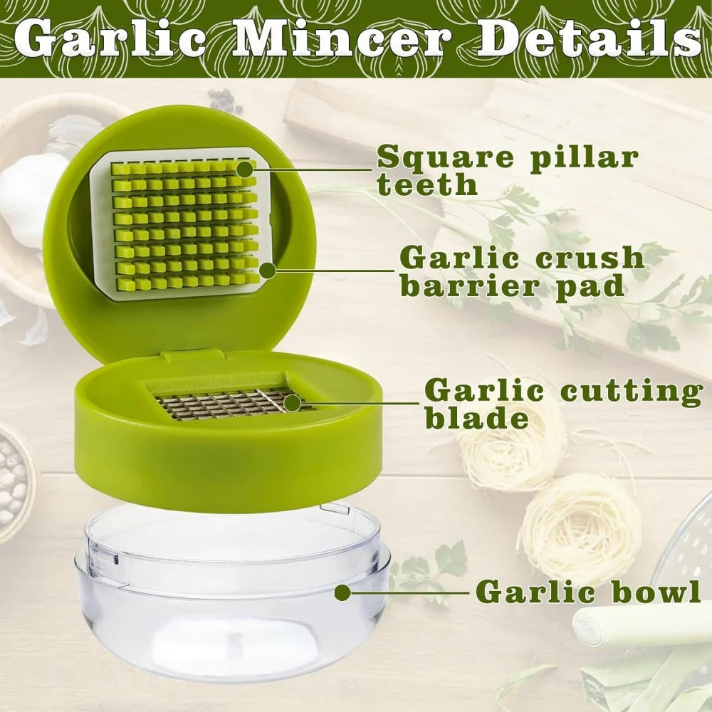 1pc Multifunctional Garlic Press Manual Mincer， ABS and Stainless Steel Garlic Slicer Handheld Ginger Masher with Storage Case